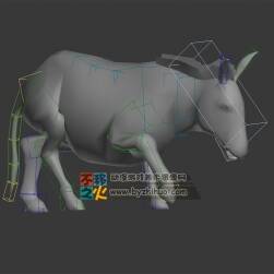 動(dòng)物動(dòng)作之驢 MAX模型 不含貼圖
