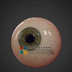 眼珠 眼球 眼睛 逼真 模型