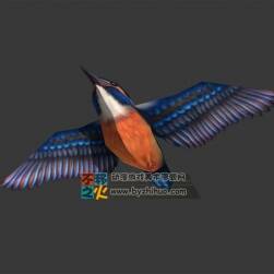 飛行中小翠鳥 Max模型