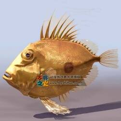Fish 金色的魚(yú)3DS模型