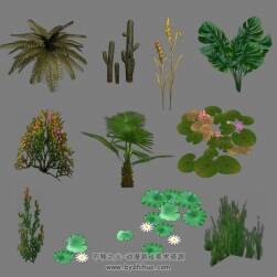 10種花草植物模型 荷花/麥子/仙人掌/草