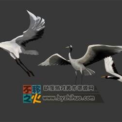 Red-crowned crane 丹頂鶴Max OBJ模型