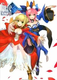 《Fate Extra》官方視覺書