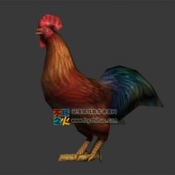 家畜公雞 Max模型