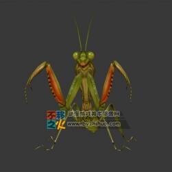 螳螂 Max模型 四邊面