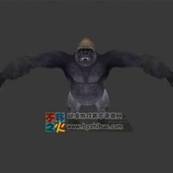 長臂大猩猩 Max模型