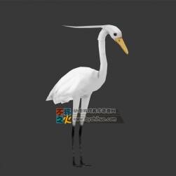 小白鷺 Max模型