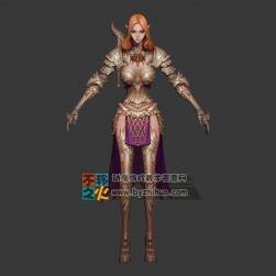 精靈  美女戰(zhàn)士  鎧甲 盔甲 模型