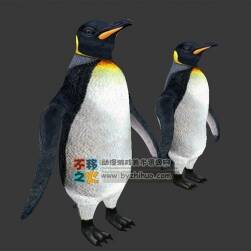 動(dòng)物園之企鵝 Max模型 四邊面