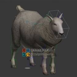 綿羊 Max模型