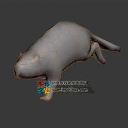 動(dòng)物動(dòng)作之水瀨 Max模型 不含貼圖