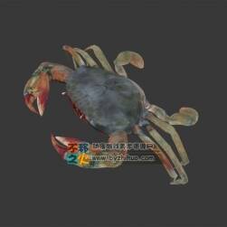 螃蟹一只 Max模型