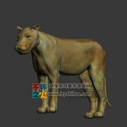 Lion 獅子3DS模型