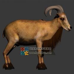 高精羊一枚 Max模型
