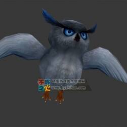 小肥圓 貓頭鷹 Max模型