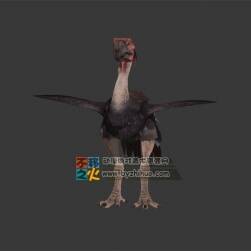 短腿鴕鳥(niǎo) OBJ模型