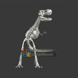 恐龍骨架 Max模型