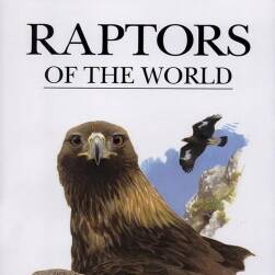 《Raptors of the World》世界猛禽圖鑒 貓頭鷹/獵鷹 繪畫(huà)參考素材