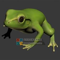 小青蛙 FBX模型 四邊面