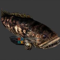 游動(dòng)的丑魚 Max模型