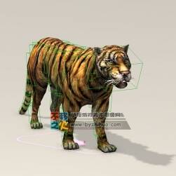精瘦的老虎 Max模型