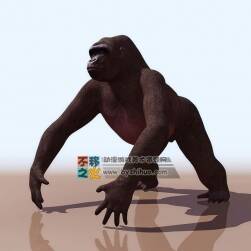 Gorilla 大猩猩 3DS模型