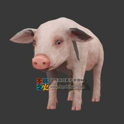 一只長(zhǎng)腿白皮豬 Max模型