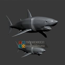 兩條鯊魚 Max模型