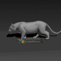 Tiger 老虎 Max模型 含全套動(dòng)作