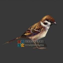 小麻雀 Max模型 四邊面