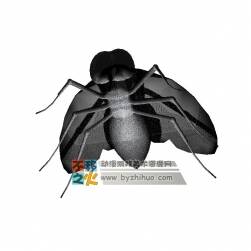 fly 簡(jiǎn)化蒼蠅3DS模型
