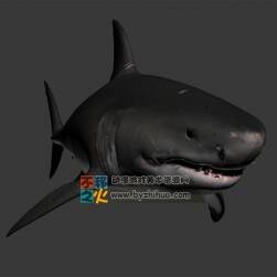 深海霸主 鯊魚 3D模型