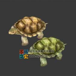 兩只海龜 Max模型