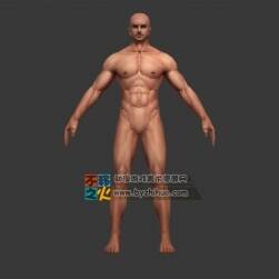 標(biāo)準(zhǔn)體型 成男 壯漢模型