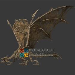 西方飛龍骨架模型