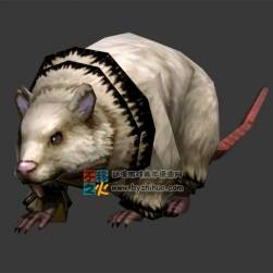 大白鼠  Max模型