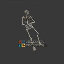 完整的白骨模型