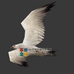 簡(jiǎn)化版 白色飛鳥 海歐 Max模型