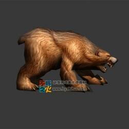 The bear 熊 Max模型
