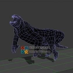 動物動作之蜥蜴 Max模型 不含貼圖