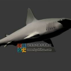 Hammerhead shark 錘頭鯊Max模型