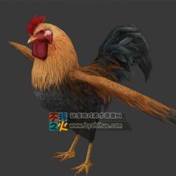 公雞 母雞 Max模型