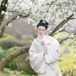 中國古典服裝圖包參考 813P