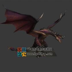 飛龍 西方龍  惡龍 模型