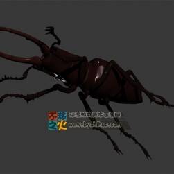 beetle 甲蟲3DS模型