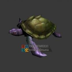 Sea turtle 兩只海龜 Max模型