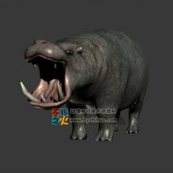 Hippopotamus 兇狠的河馬 Max模型