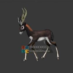 Antelope 羚羊Max模型