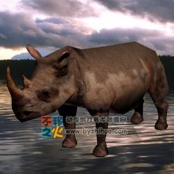 Rhinoceros 犀牛3DS模型