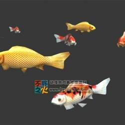 動(dòng)物動(dòng)作之一群游動(dòng)的錦鯉 Max模型